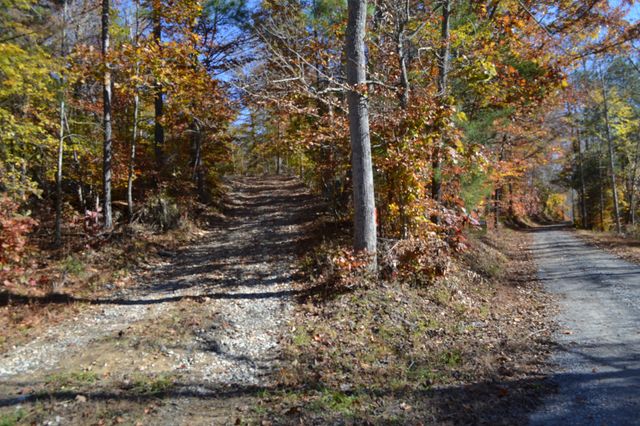 0 Whitson Hollow Rd, Red Boiling Springs, TN 37150