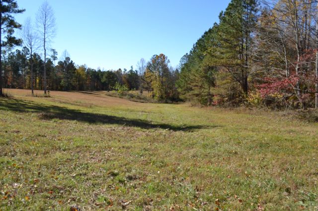 0 Whitson Hollow Rd, Red Boiling Springs, TN 37150