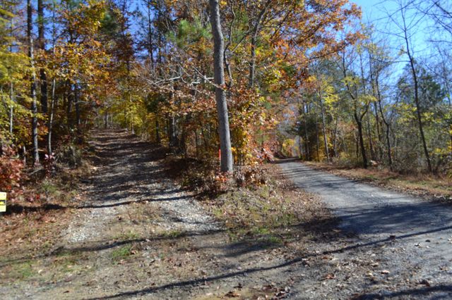 0 Whitson Hollow Rd, Red Boiling Springs, TN 37150