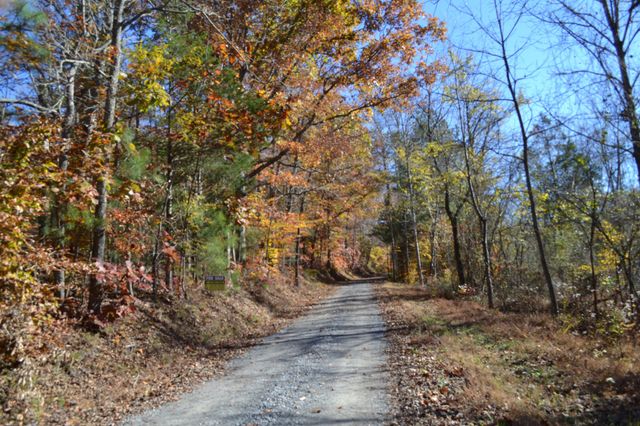 0 Whitson Hollow Rd, Red Boiling Springs, TN 37150