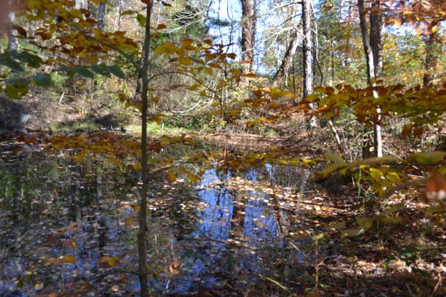 0 Whitson Hollow Rd, Red Boiling Springs, TN 37150