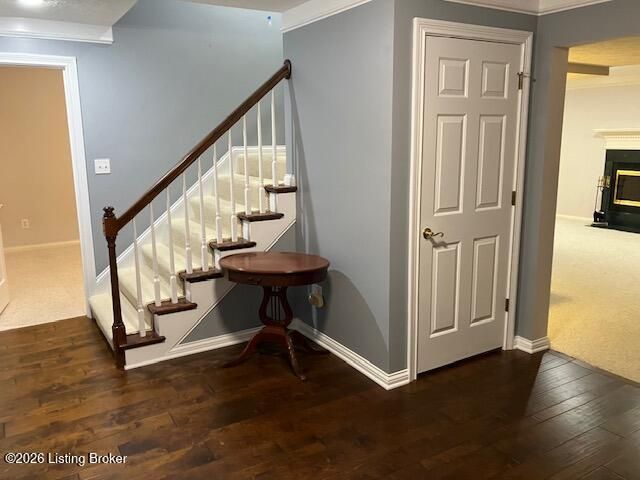 4207 Bryant Park Dr, Louisville, KY 40299