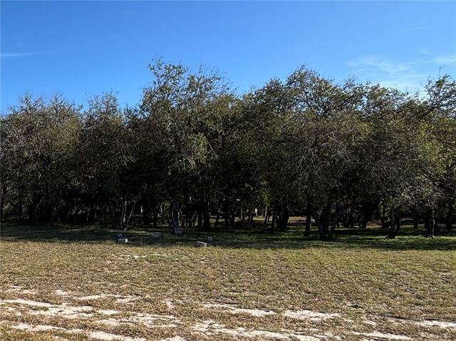 2168 River Oaks, Skidmore, TX 78389