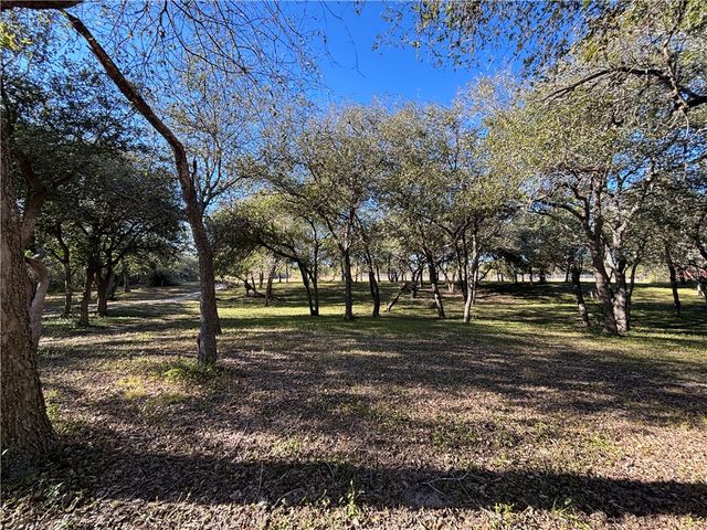 2168 River Oaks, Skidmore, TX 78389