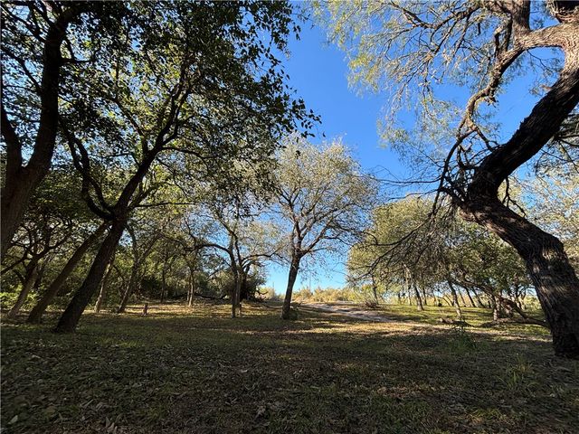 2168 River Oaks, Skidmore, TX 78389