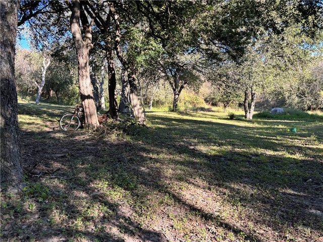 2168 River Oaks, Skidmore, TX 78389