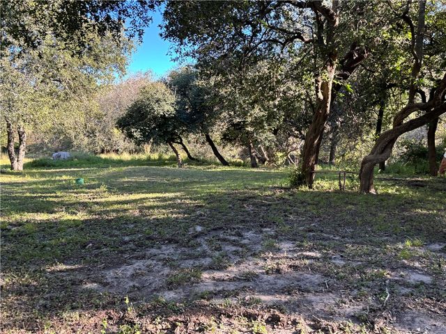 2168 River Oaks, Skidmore, TX 78389