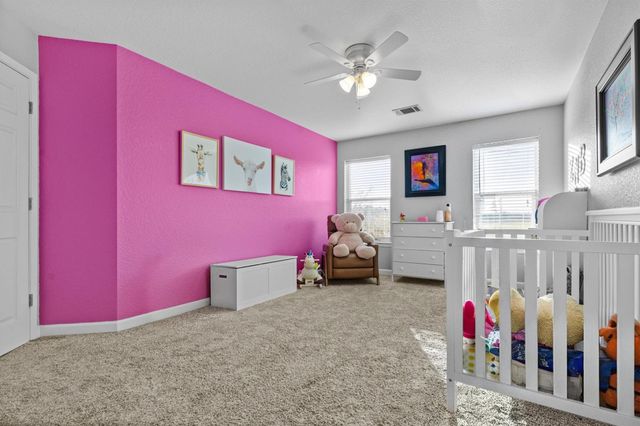 316 Brushy Creek TRL, Hutto, TX 78634