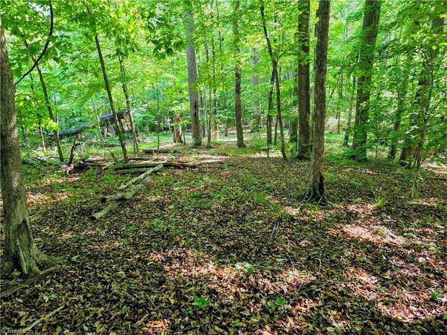 1055 Ed Booth Road, Westfield, NC 27053