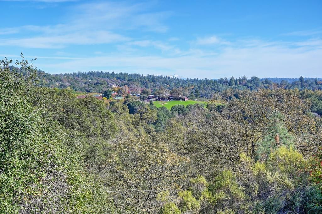 1244 Cold Springs, Placerville, CA 95667