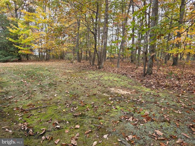 31380 PAYNES FARM, Locust Grove, VA 22508