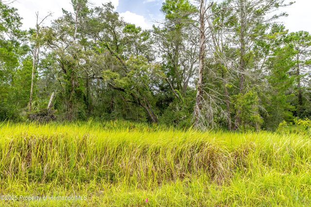 0 Bahama Swallow Avenue, Weeki Wachee, FL 34613