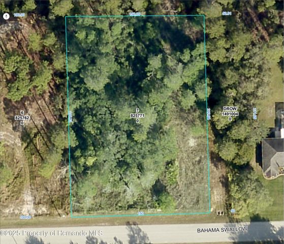 0 Bahama Swallow Avenue, Weeki Wachee, FL 34613