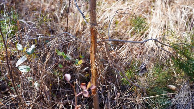 522 Whitworth Road, Clover, SC 29170