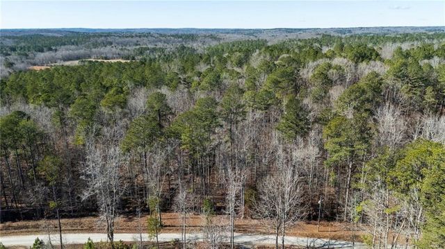 0 Pace Road, Chattahoochee Hills, GA 30213