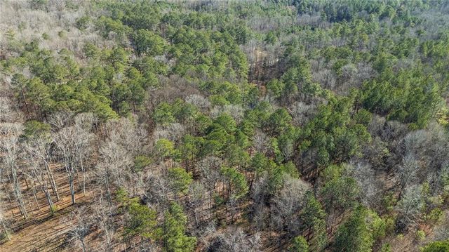 0 Pace Road, Chattahoochee Hills, GA 30213