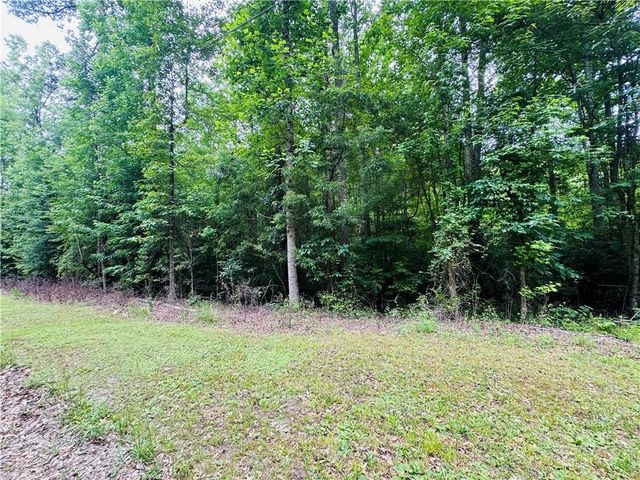 0 Pace Road, Chattahoochee Hills, GA 30213