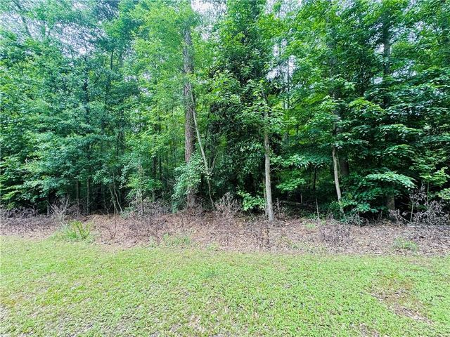 0 Pace Road, Chattahoochee Hills, GA 30213