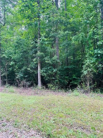 0 Pace Road, Chattahoochee Hills, GA 30213