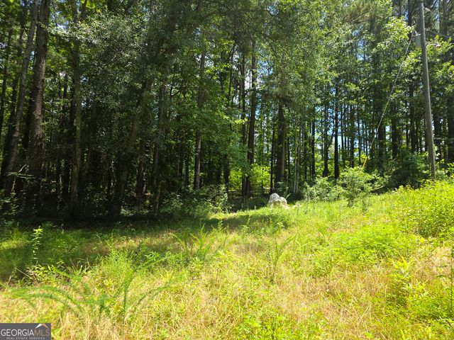 1347 Windom Road, Tallapoosa, GA 30176