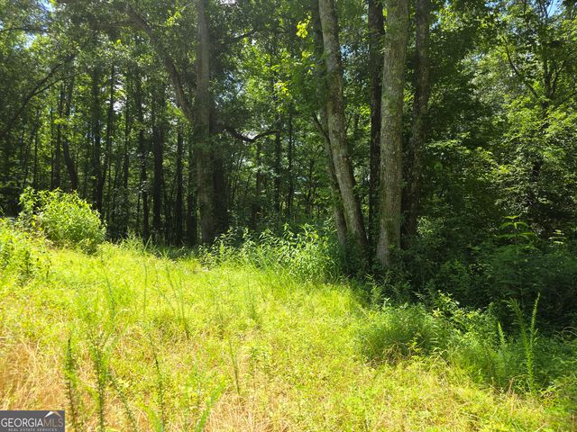 1347 Windom Road, Tallapoosa, GA 30176