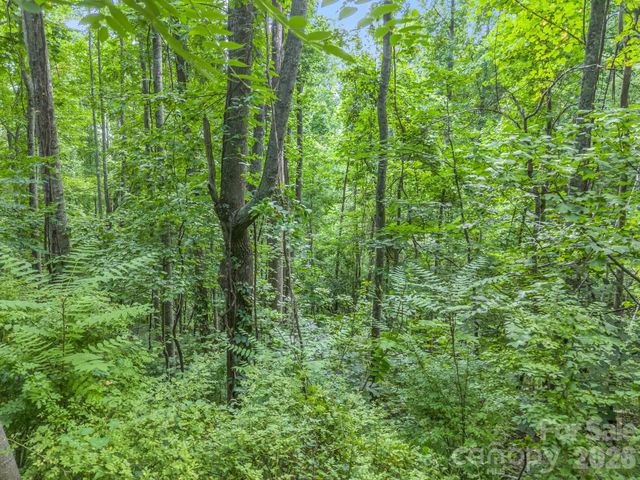 99999 Crestview Drive A11, Black Mountain, NC 28711