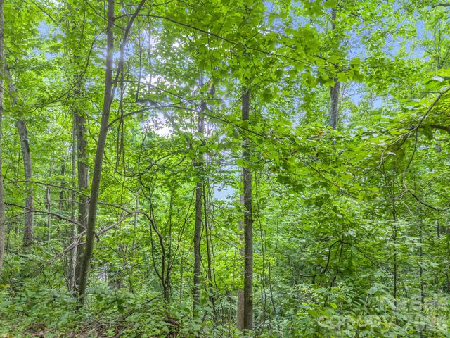 99999 Crestview Drive A11, Black Mountain, NC 28711