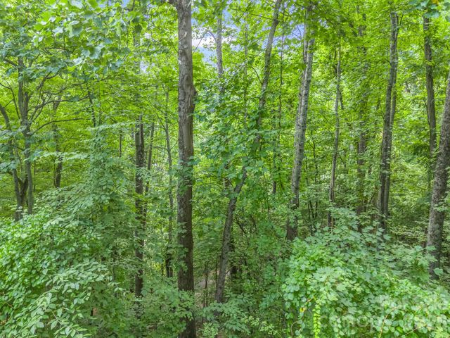 99999 Crestview Drive A11, Black Mountain, NC 28711