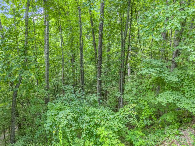 99999 Crestview Drive A11, Black Mountain, NC 28711