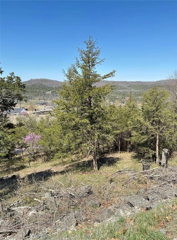 9 QuailRun Lane, Holiday Island, AR 72631