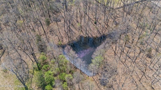 8730 College Road, Olive Branch, MS 38654