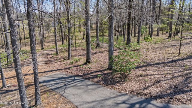 8730 College Road, Olive Branch, MS 38654