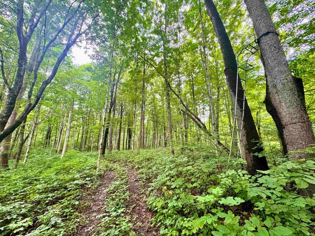 434 W Hauenstein Road, Huntington, IN 46750