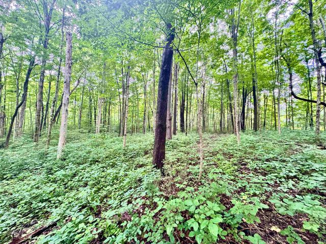 434 W Hauenstein Road, Huntington, IN 46750