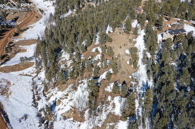 329 Cottonwood Lake Drive, Divide, CO 80814