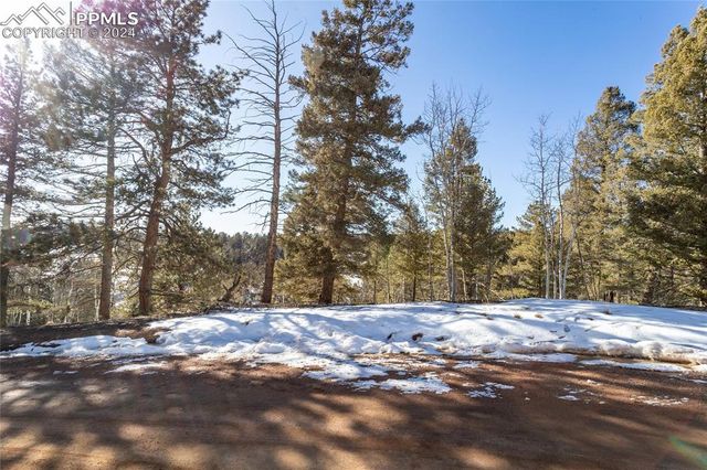 329 Cottonwood Lake Drive, Divide, CO 80814
