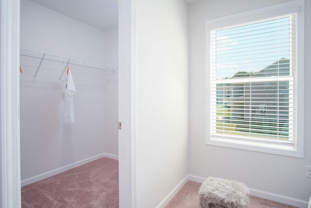 217 Central Creek Drive, Goose Creek, SC 29445