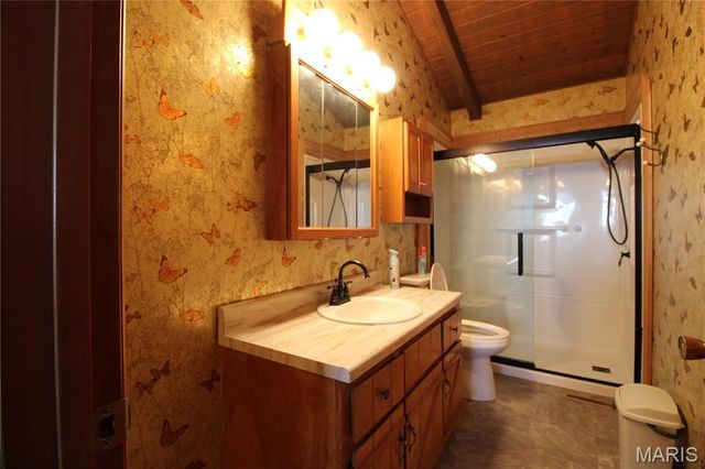 1364 Wayne 551, Williamsville, MO 63937