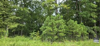 0 Mathis Cemetery Rd, Stewart, TN 37175