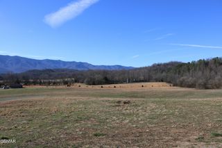 5418 Cocke County Line Rd Road, Cosby, TN 37722