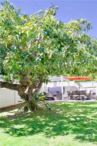 8727 Glider, Los Angeles, CA 90045