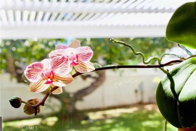 8727 Glider, Los Angeles, CA 90045