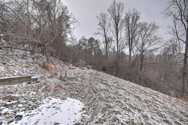 126 Whitehills Road, Kingsport, TN 37660