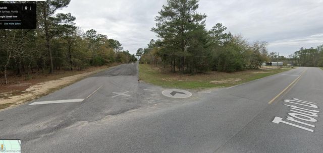 Lot 41 E TIGER LILY Lane, Defuniak Springs, FL 32433