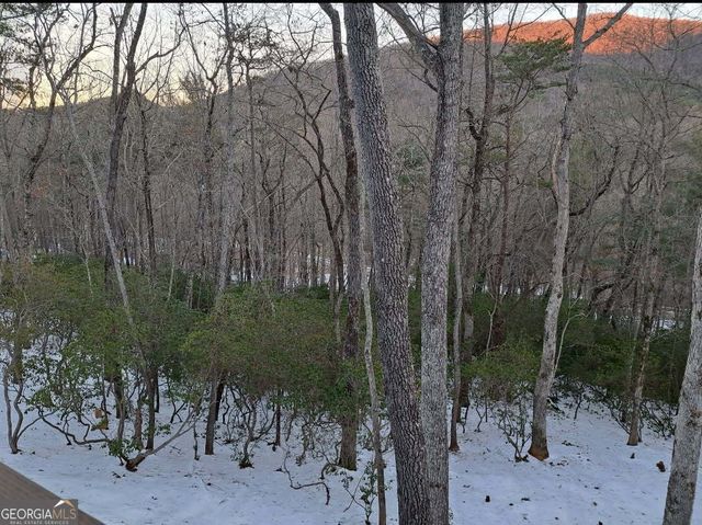3014 Oakey Mountain Road, Clarkesville, GA 30523