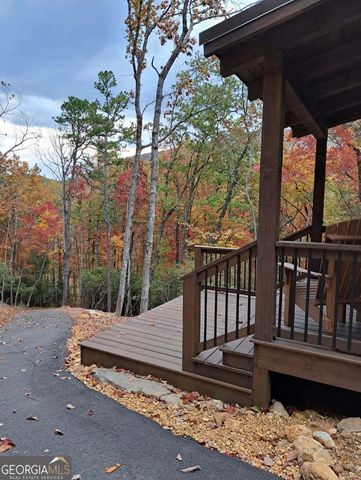 3014 Oakey Mountain Road, Clarkesville, GA 30523
