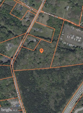 0 LEWIS RD, Berlin, MD 21811
