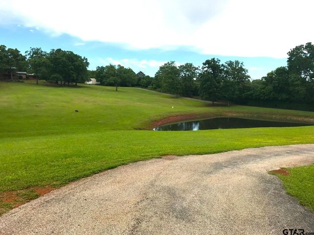 440 VZ County Road 4814, Ben Wheeler, TX 75754
