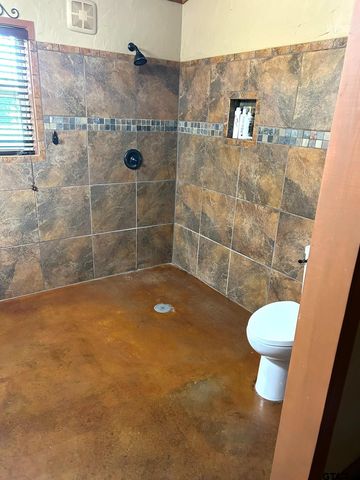 440 VZ County Road 4814, Ben Wheeler, TX 75754