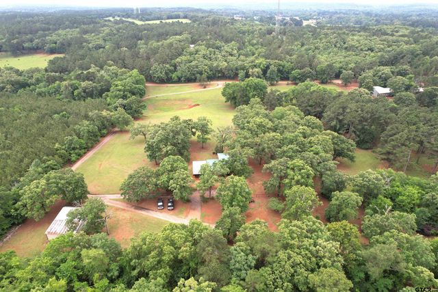 440 VZ County Road 4814, Ben Wheeler, TX 75754